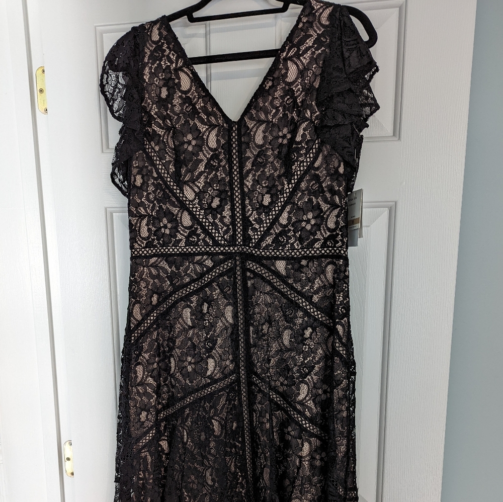 Nude and Black A-line flutter sleeve Dress